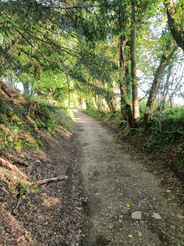 Photo Gallery Image - The old railway line to Morwellham