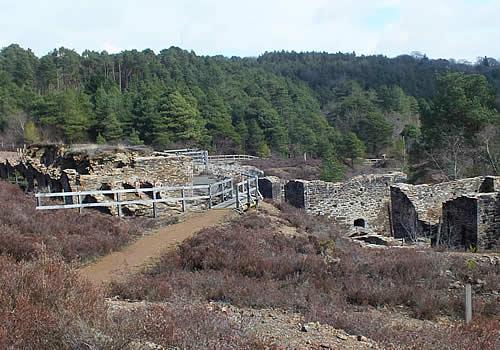 Photo Gallery Image - Mining heritage at Blanchdown Woods