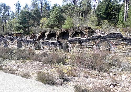 Photo Gallery Image - Wheal Anna Maria Calciner Complex (Blanchdown Woods)